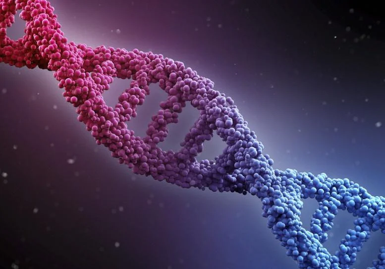 Geneticspic.jpeg