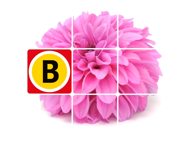 omroep-brabant_0123.jpg