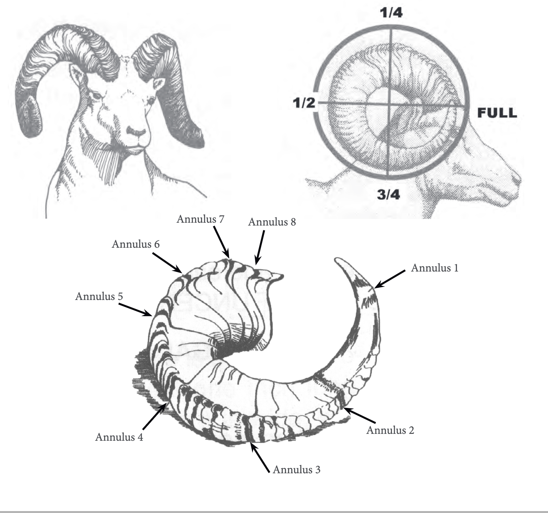 Screenshot 2025-09-19 at 10.33.52 AM.png