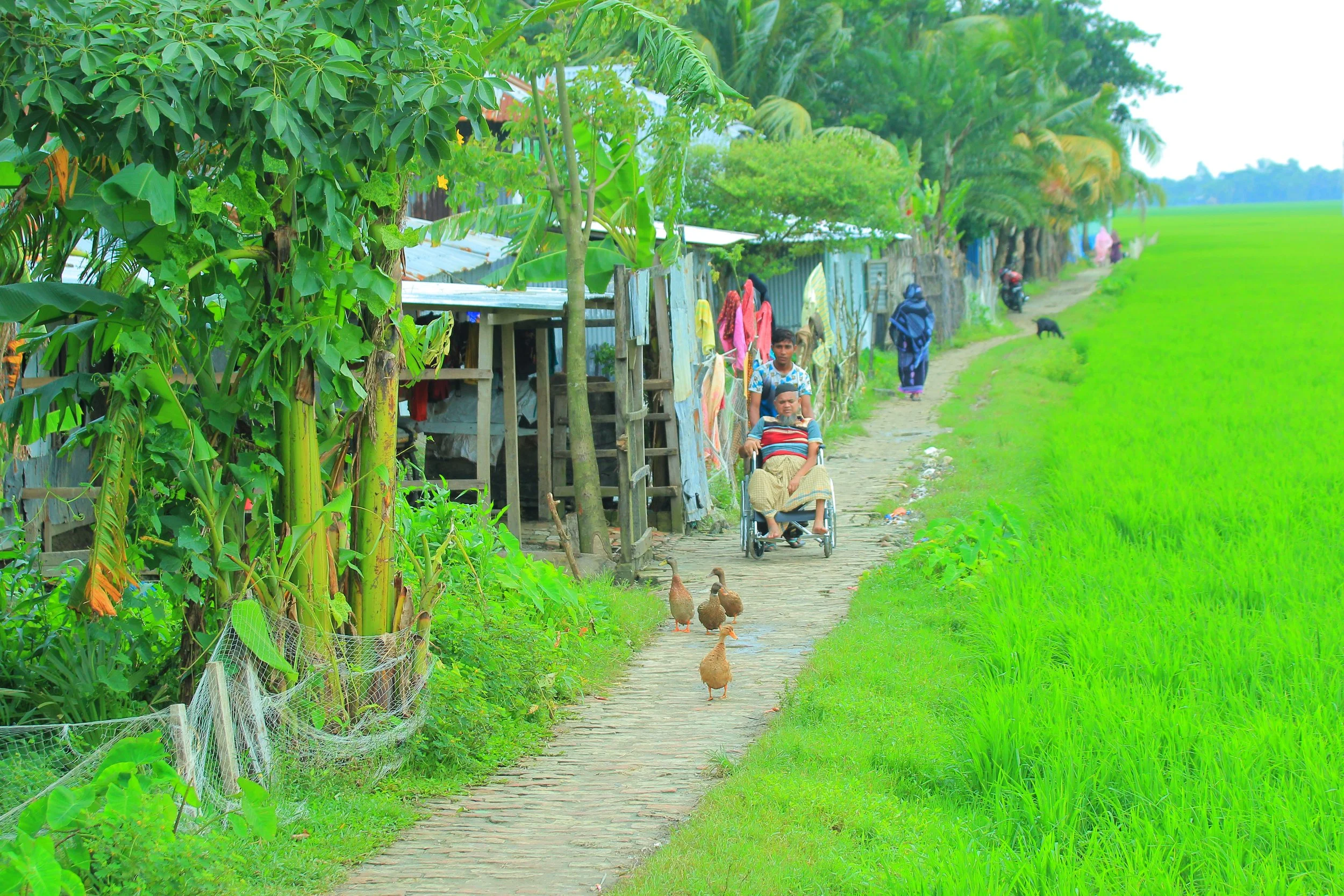 How the Sundarban Coalition Tackles Disasters and Inequality in Bangladesh's Coastal Region