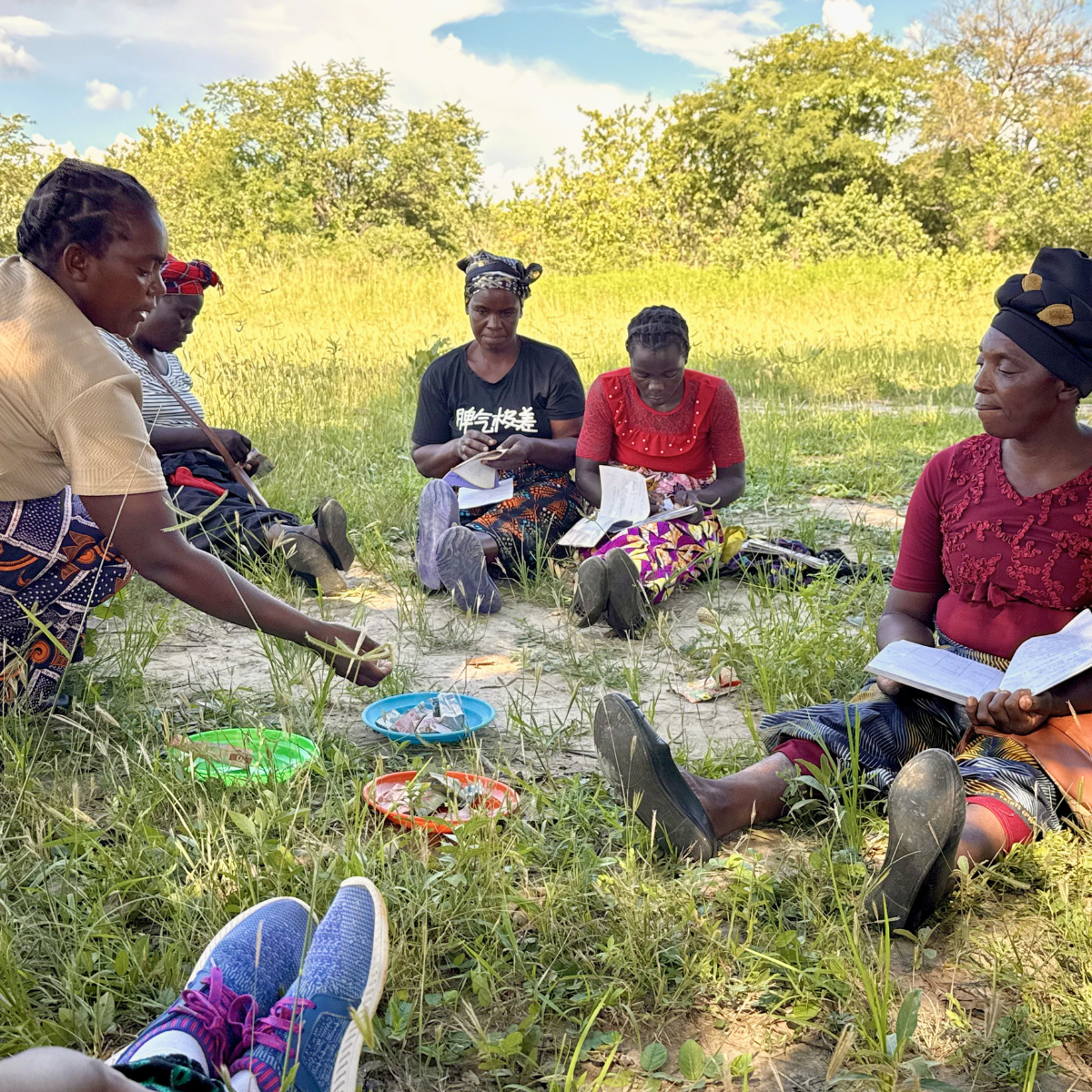 Self Help Groups — The Share Trust