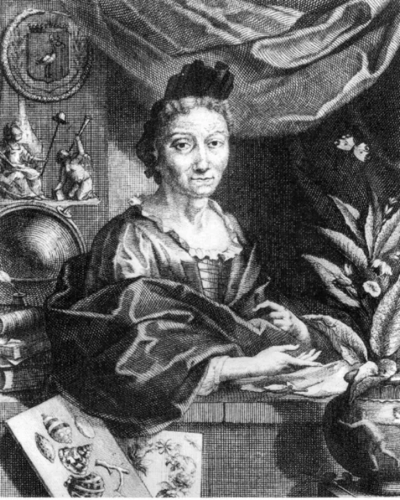 Portret van Maria Sibylla Merian door Jacobus Houbraken, ca. 1700.