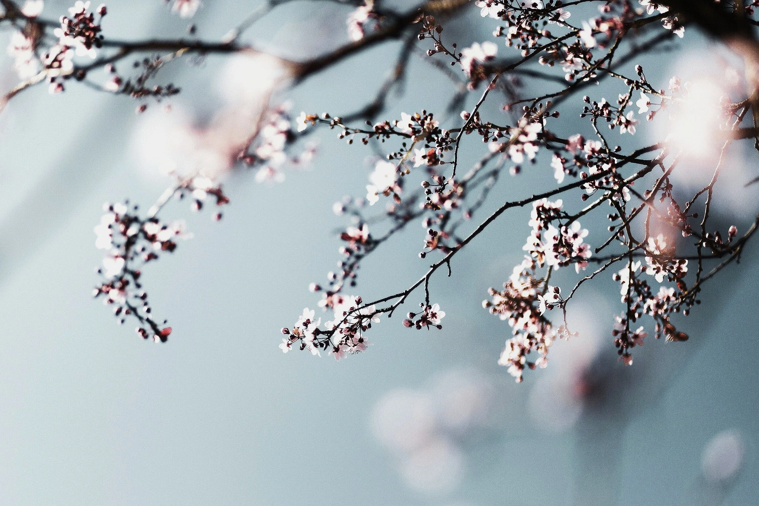 Initiation à la pleine conscience en Francais