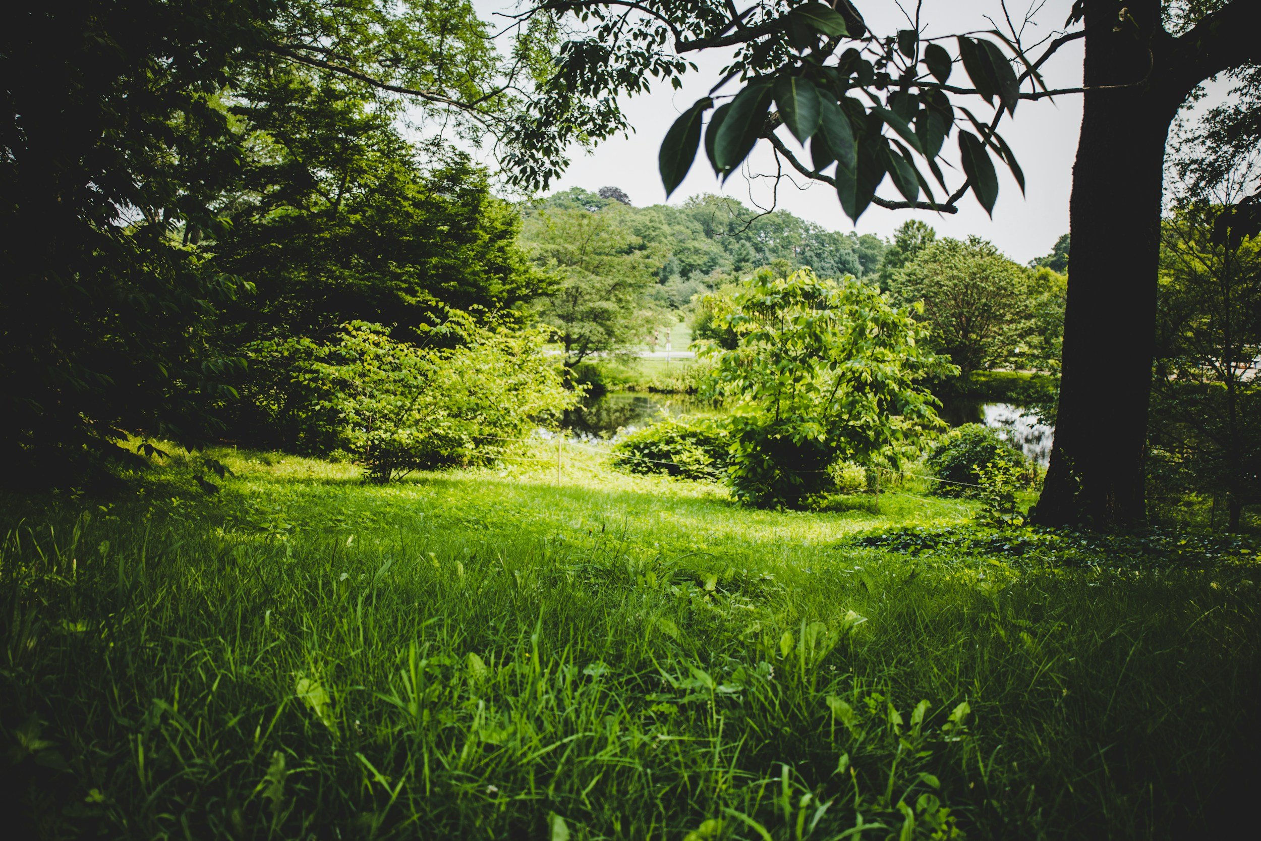  Midsummer Morning Meditation &amp; Sound Bath