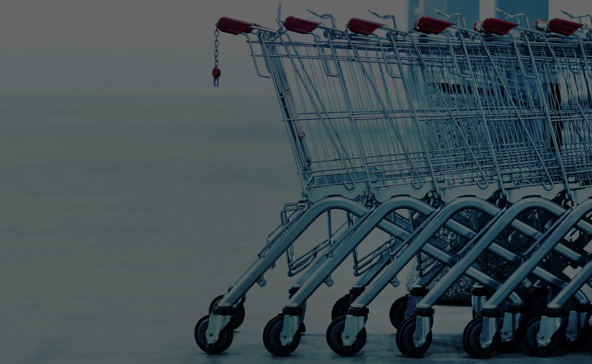 bg_lg_shopping_carts.jpg