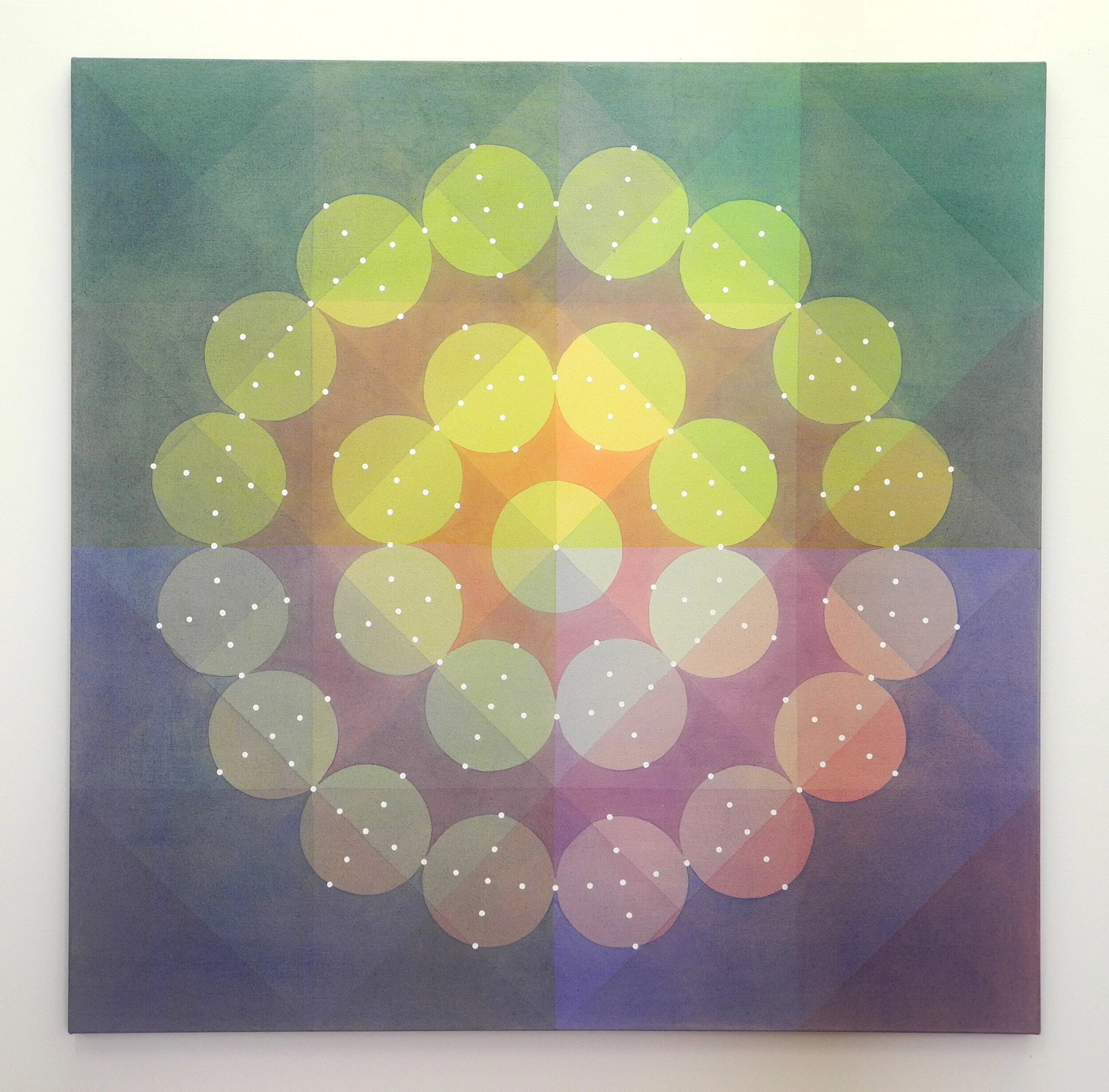 Field Kallop Visual Artist