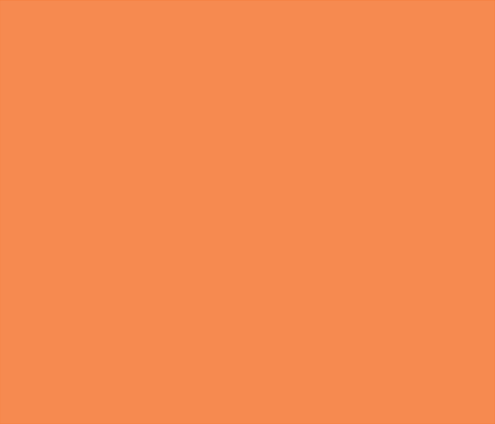 OL ORANGE.png