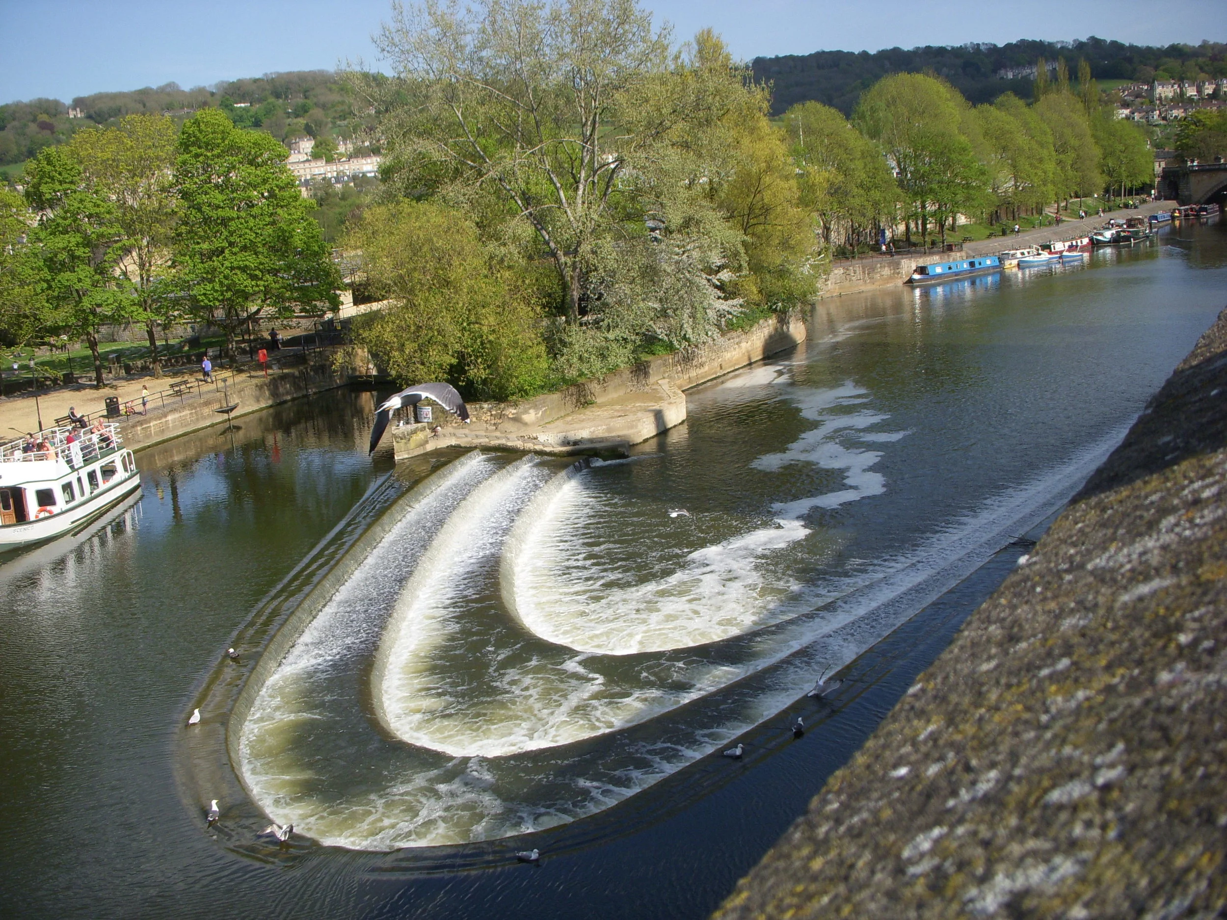 DSCN6141.JPG