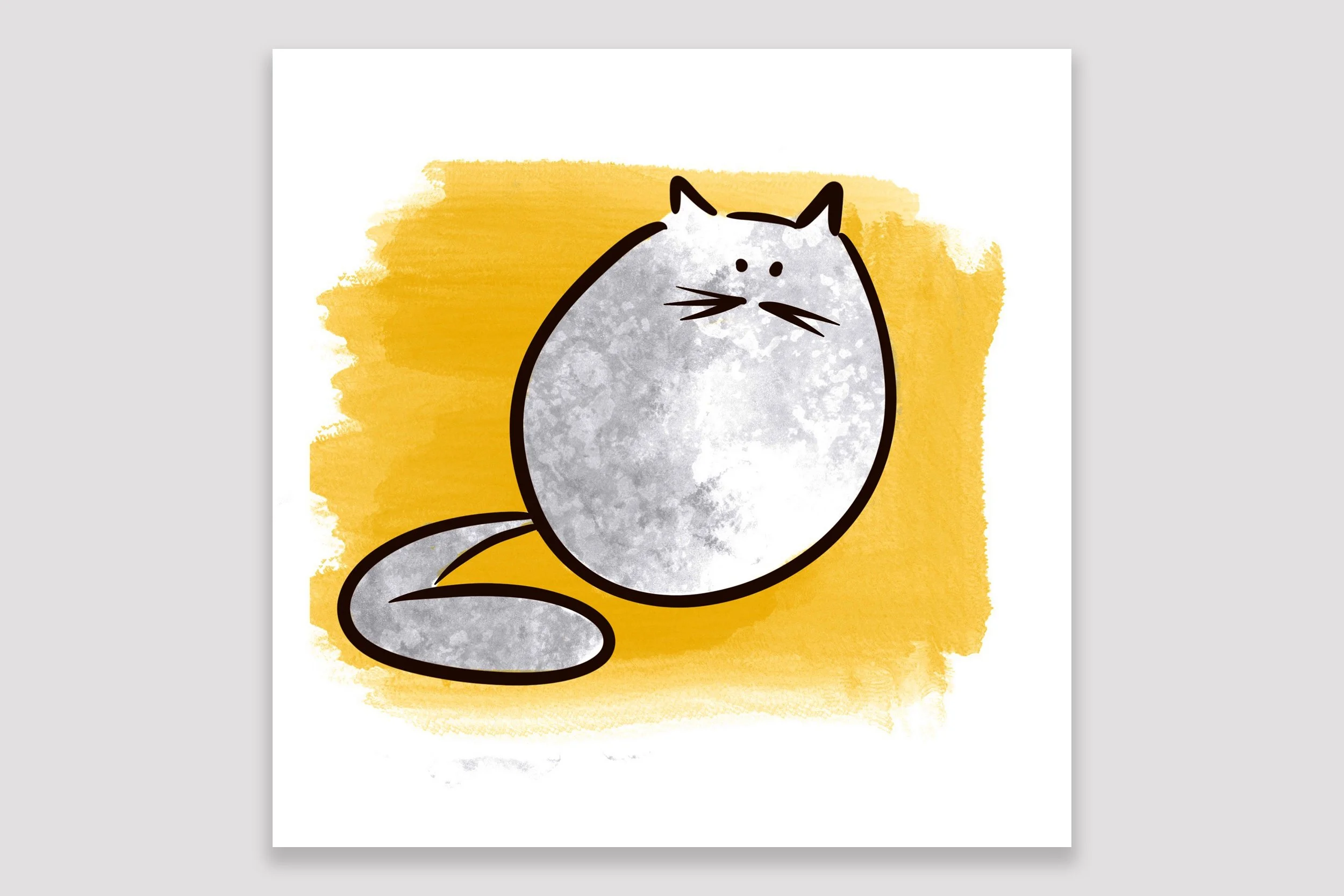 correct_filler_cat.jpg