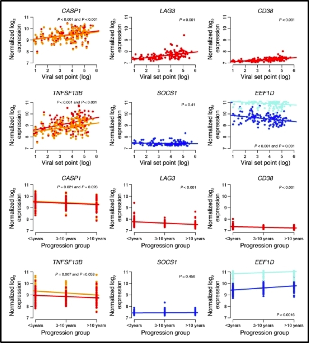 Comparative transcriptomics of extreme phenotypes of human HIV-1 infection and SIV infection in sooty mangabey and rhesus macaque.
