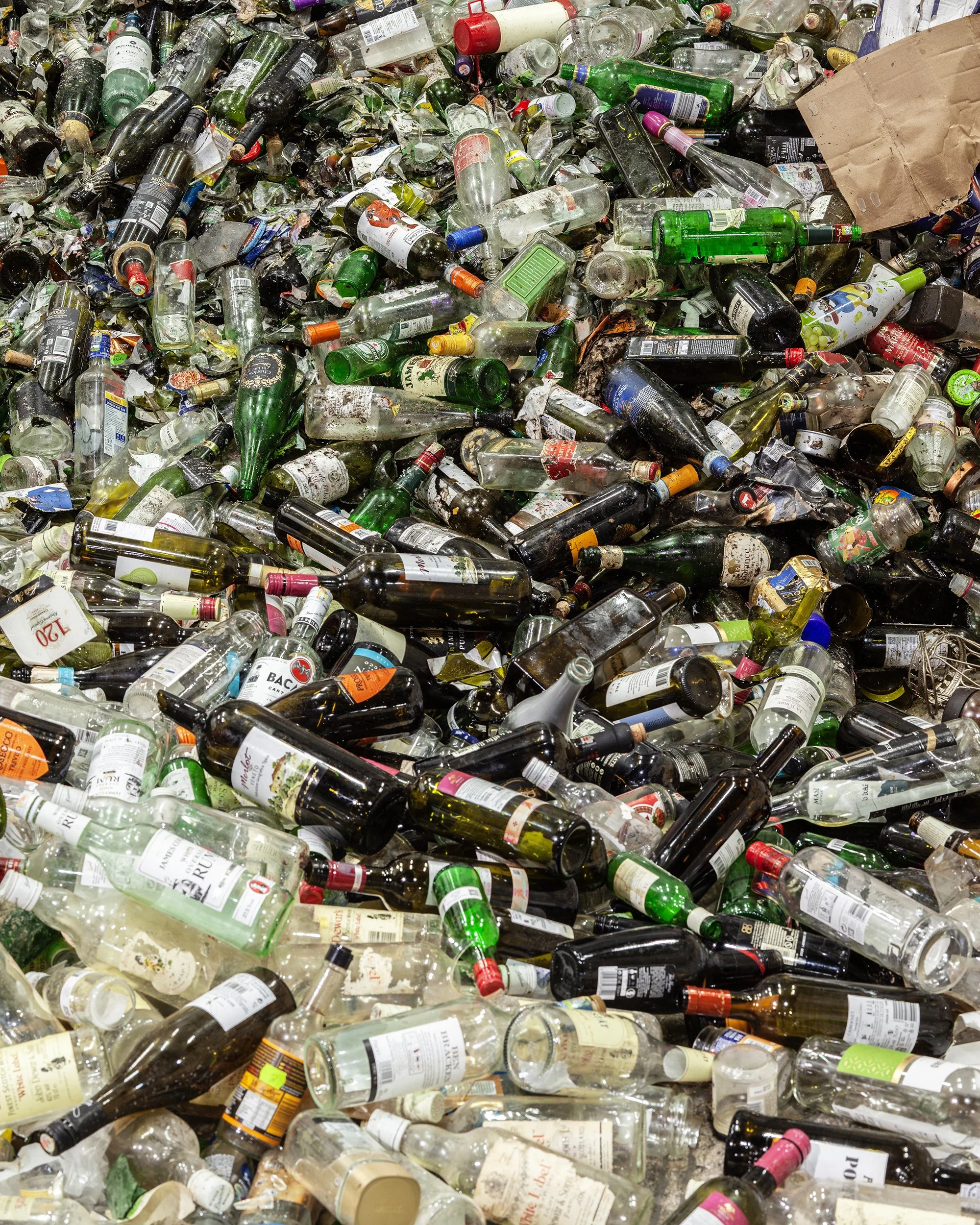 Raphael Waste Serve_HIGH RES_8 copy.jpg