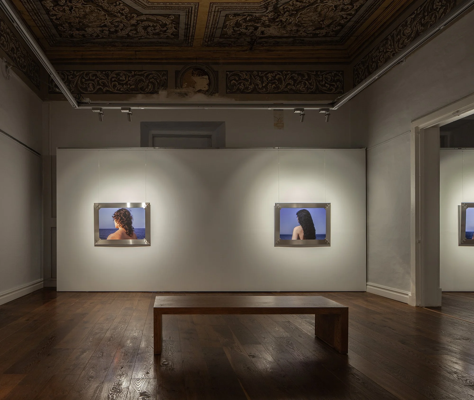 Leo_HIGH RES_4 copy.jpg