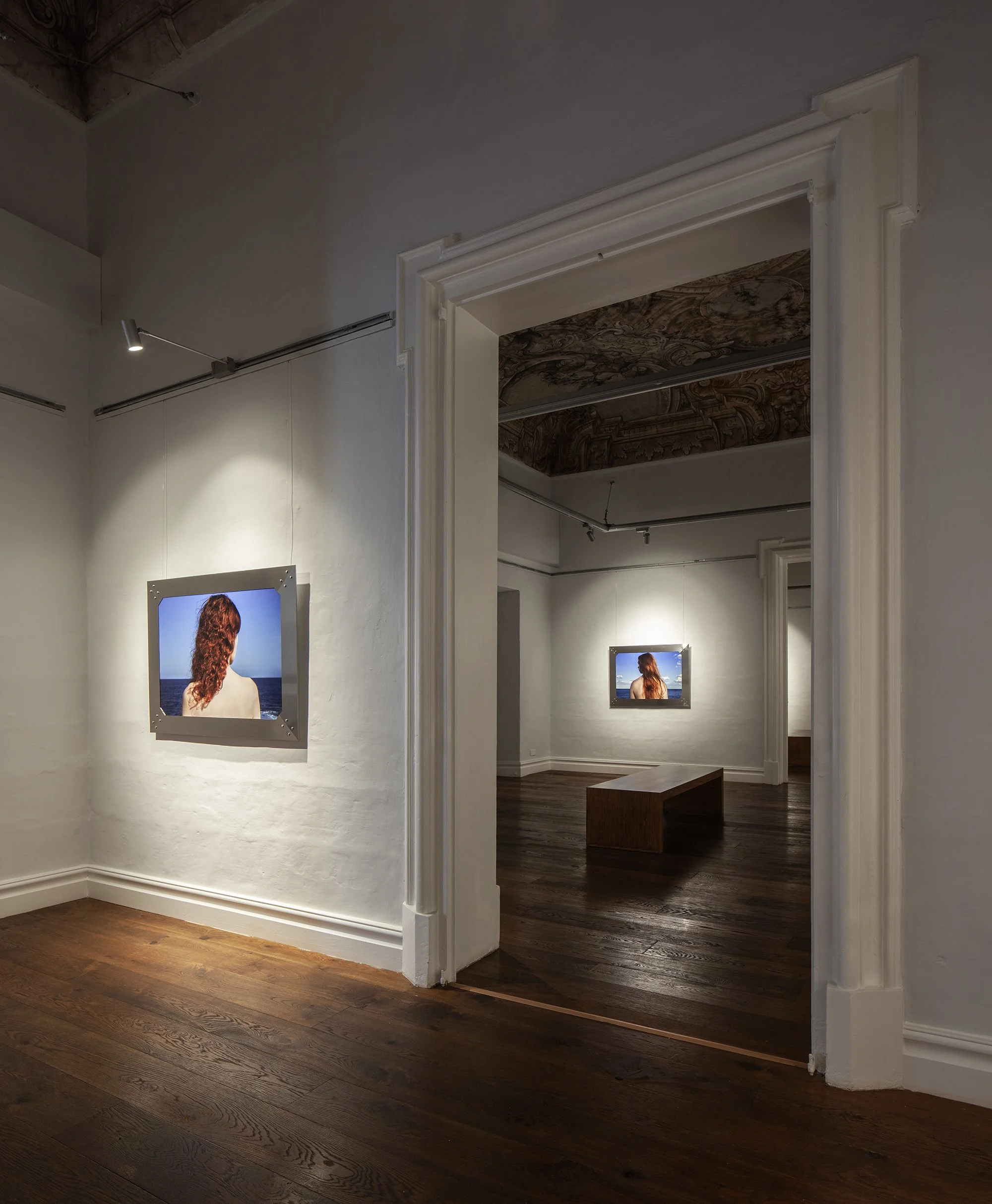 Leo_HIGH RES_7 copy.jpg