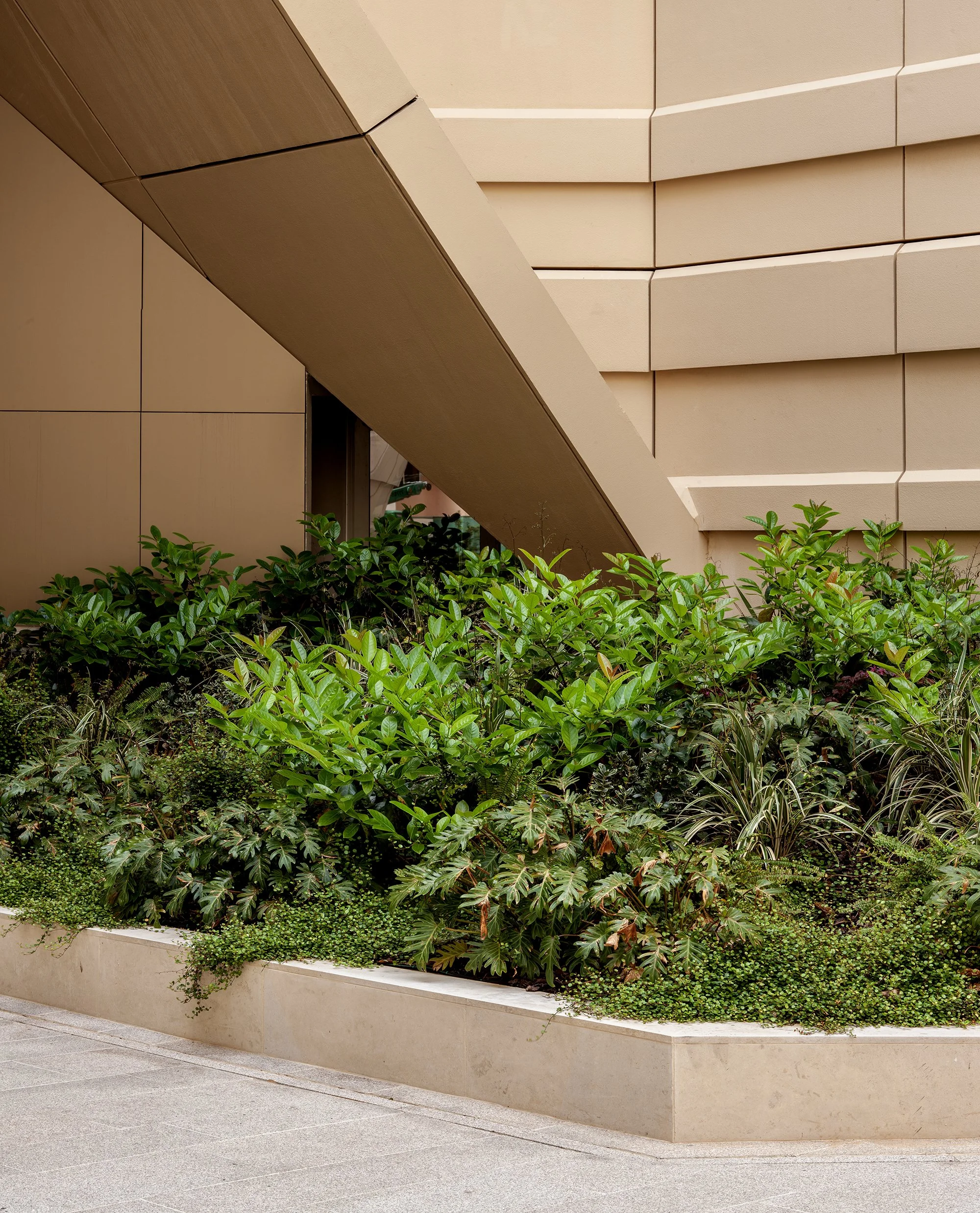 Terraces_HIGH RES_9 copy.jpg