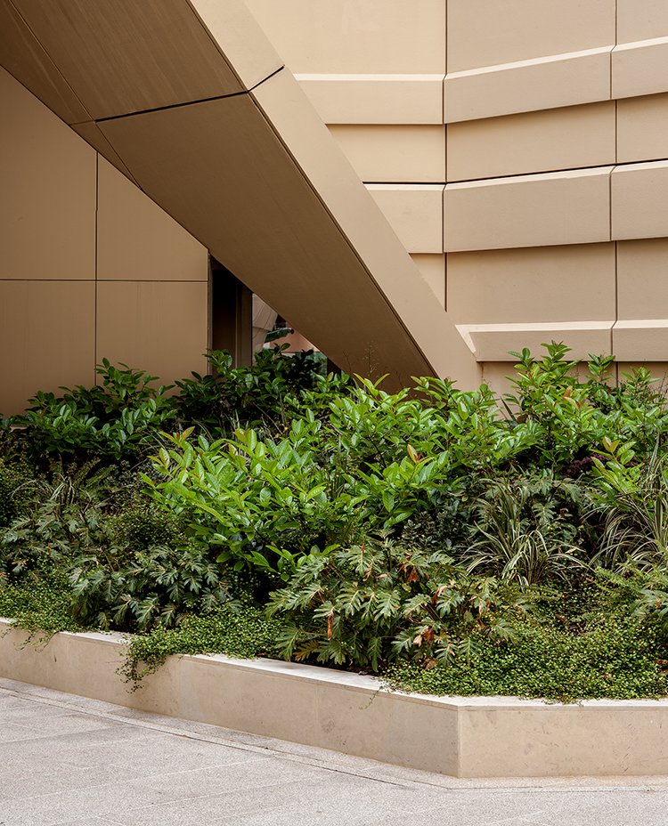 Terraces_LOW RES_9 copy.jpg