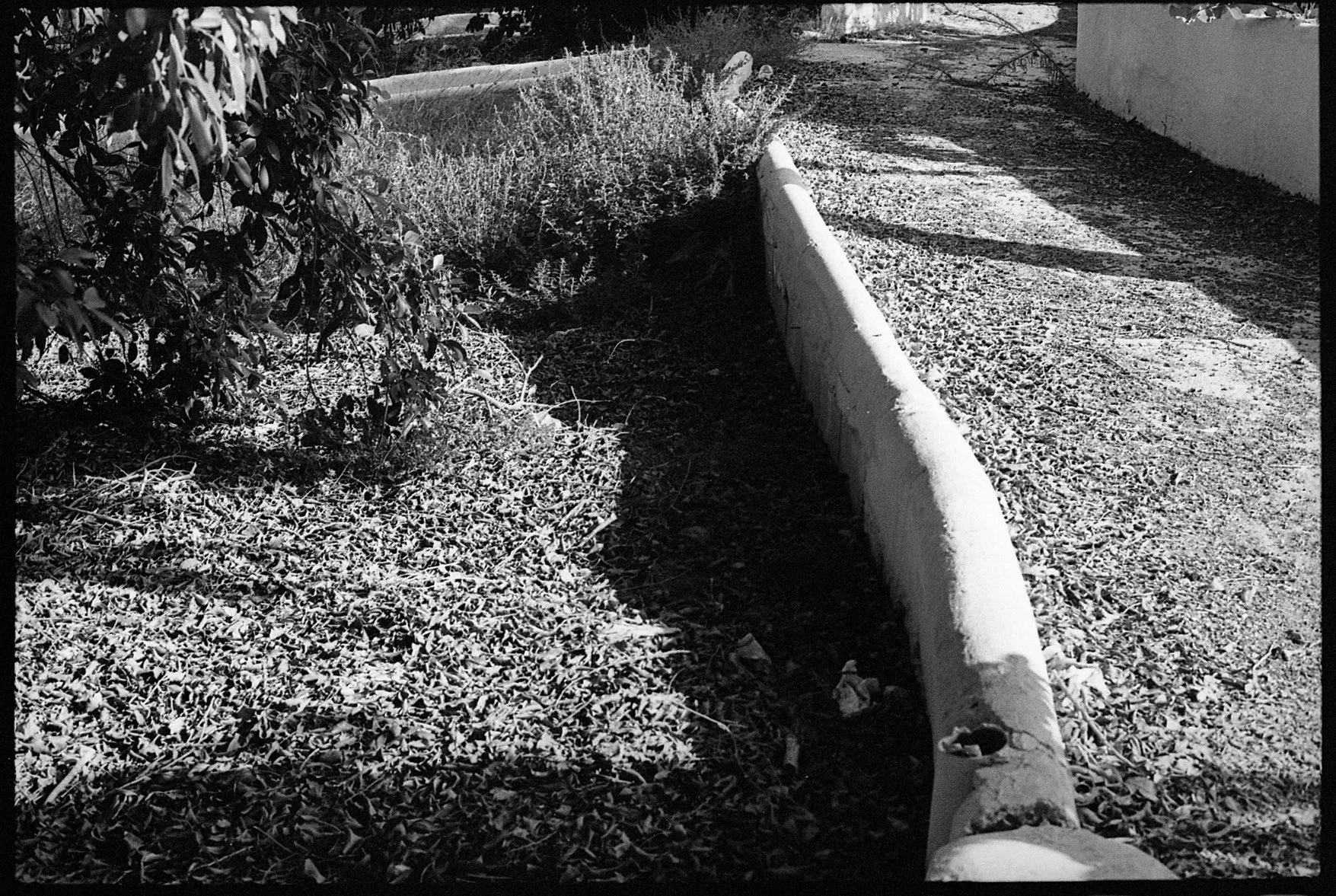 img089 copy 3.jpg