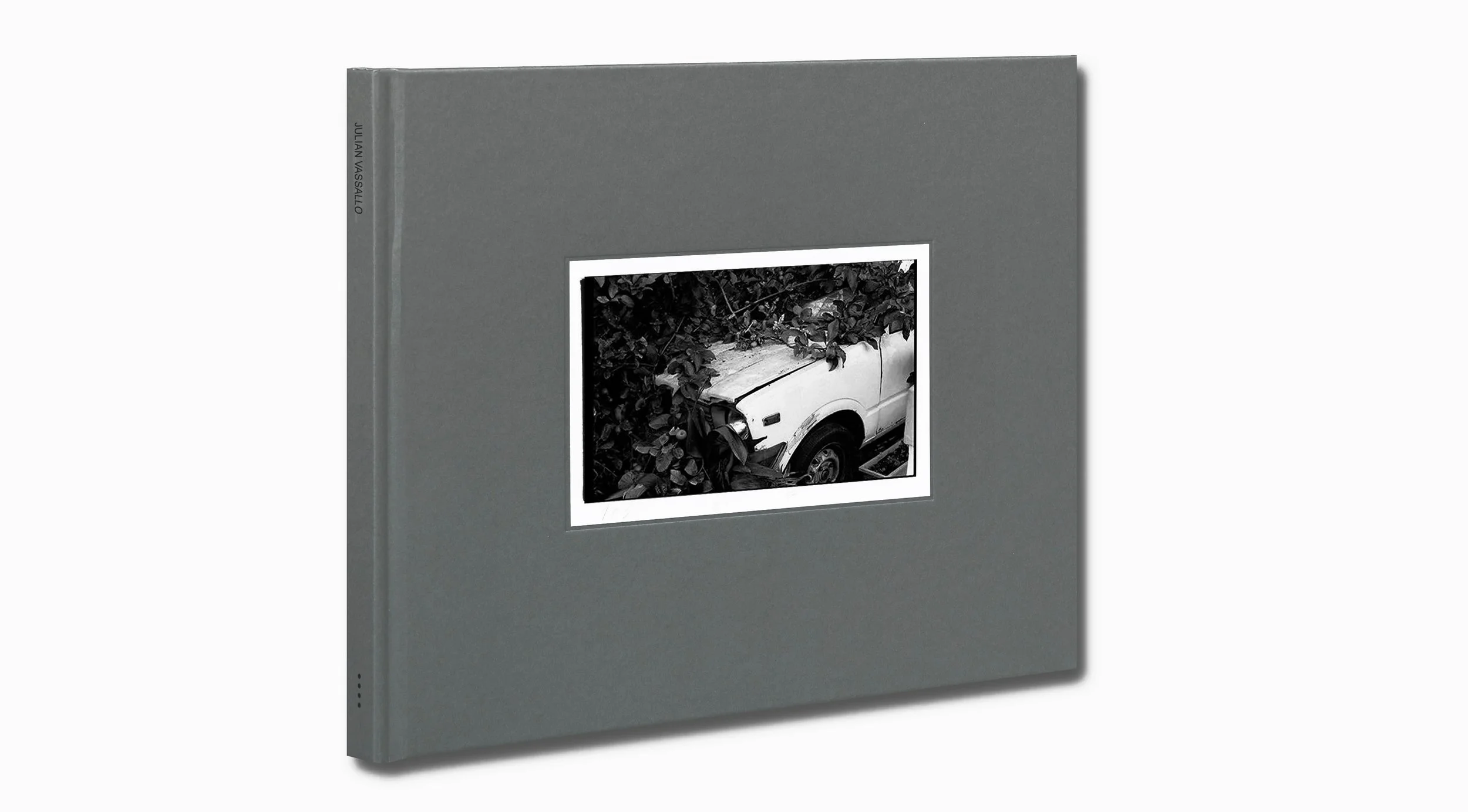 book cover.jpg