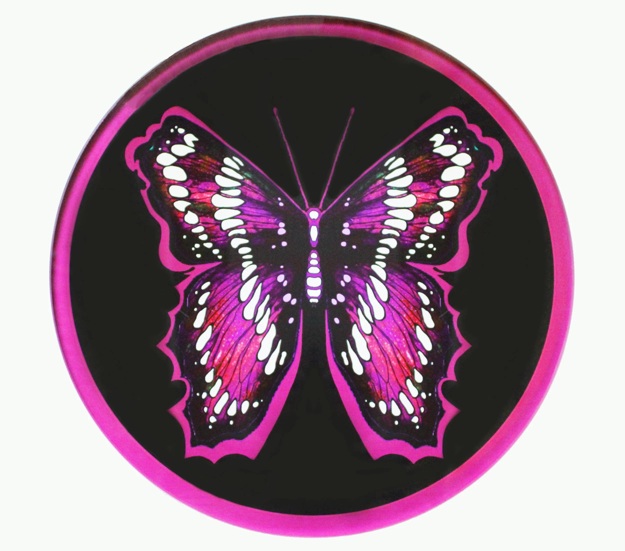 Glass Butterfly placemat.jpg