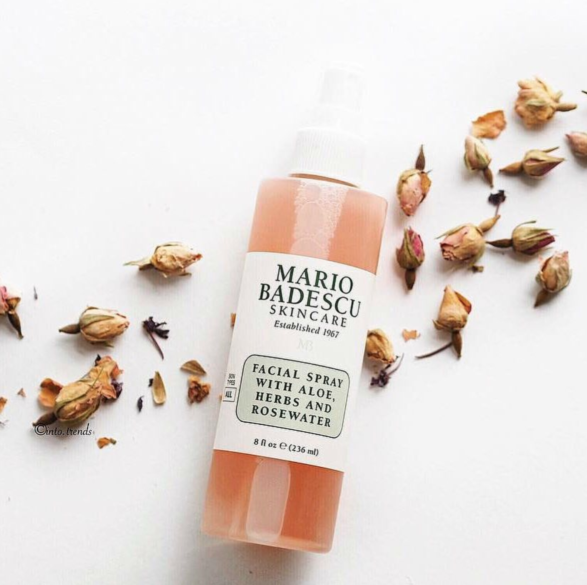 Image from @mariobadescu