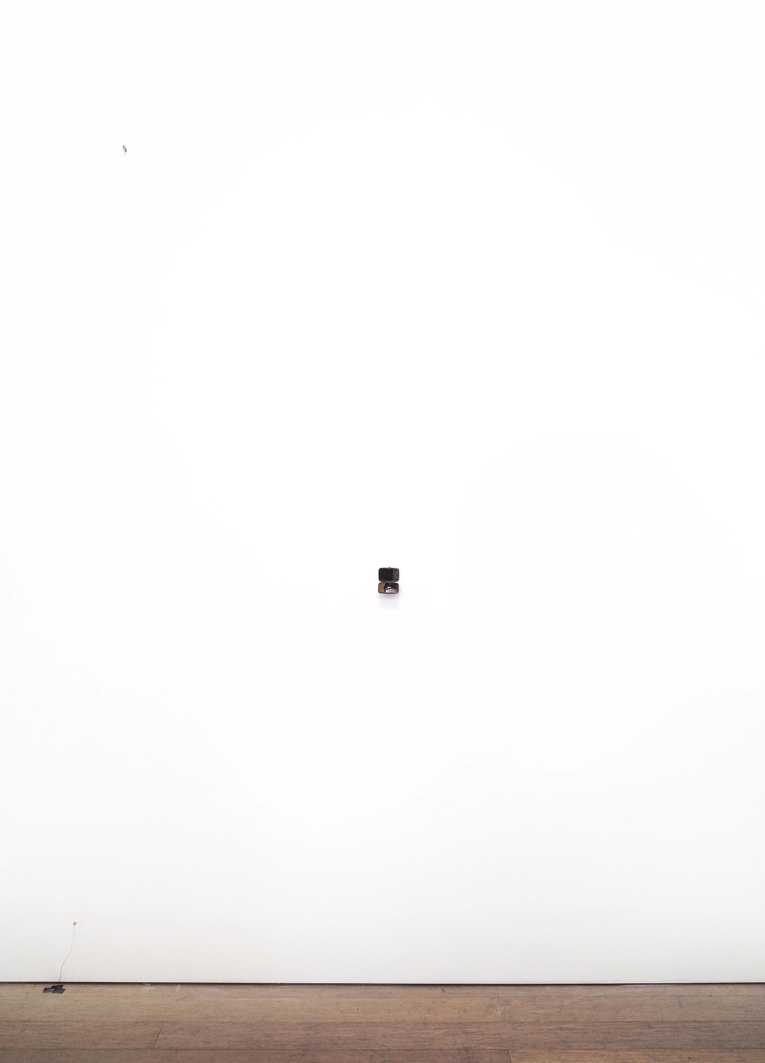 2_(installation view)untitled(caged).jpg