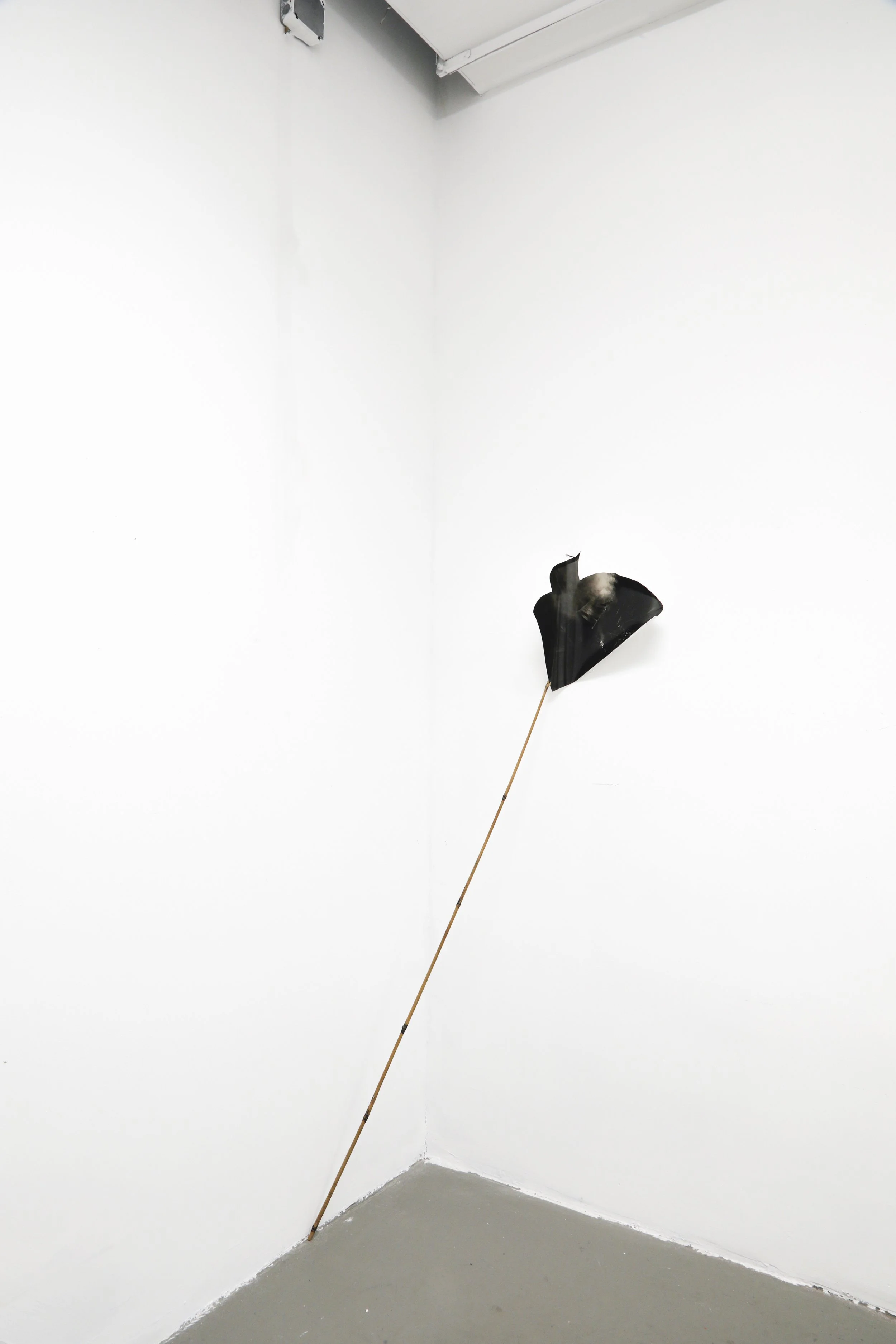   stranded (kite)     silver gelatin print, bamboo stick, nail  dimensions variable  2025 