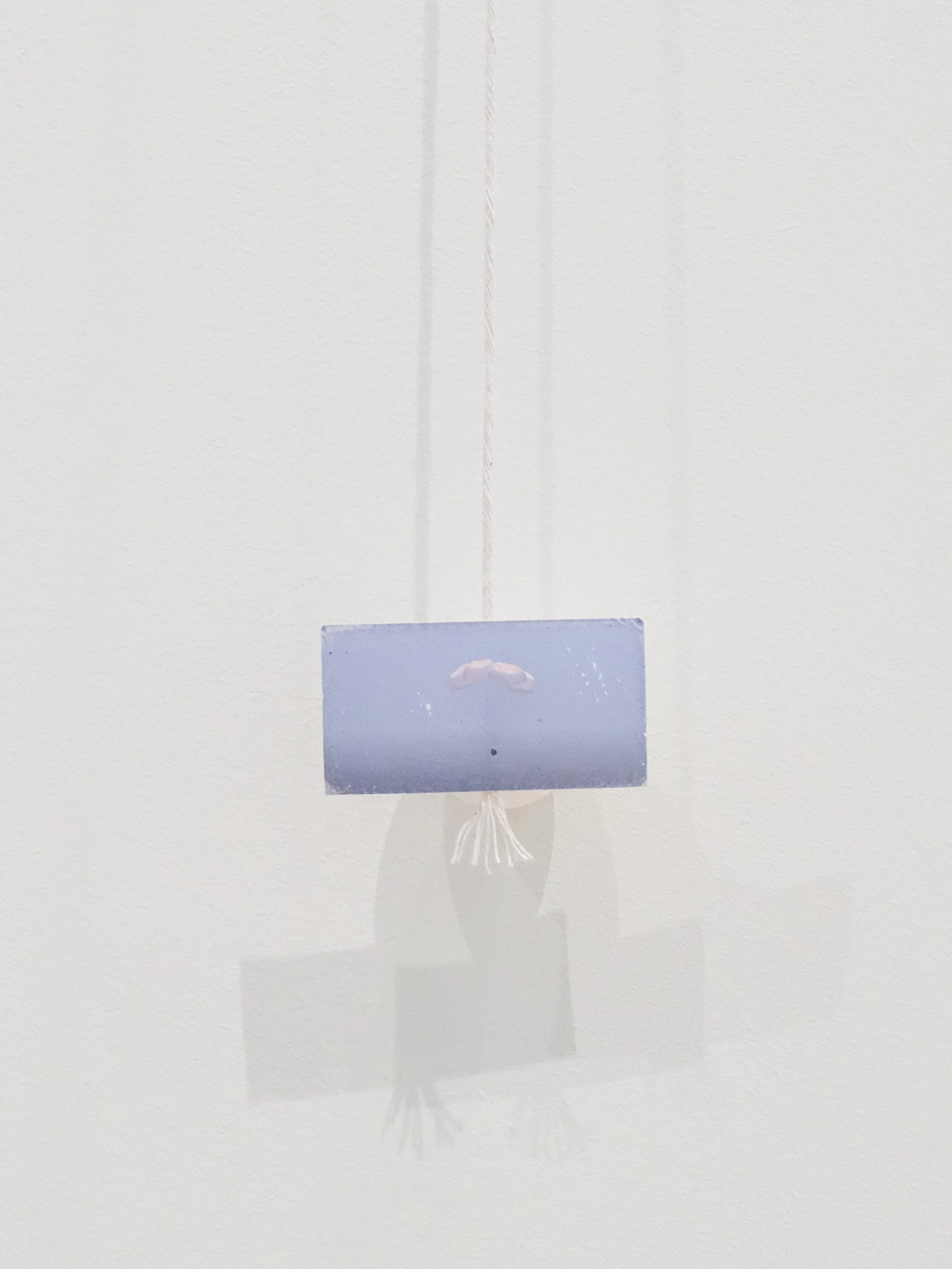 DSCF5970(crop2)-ed.jpg