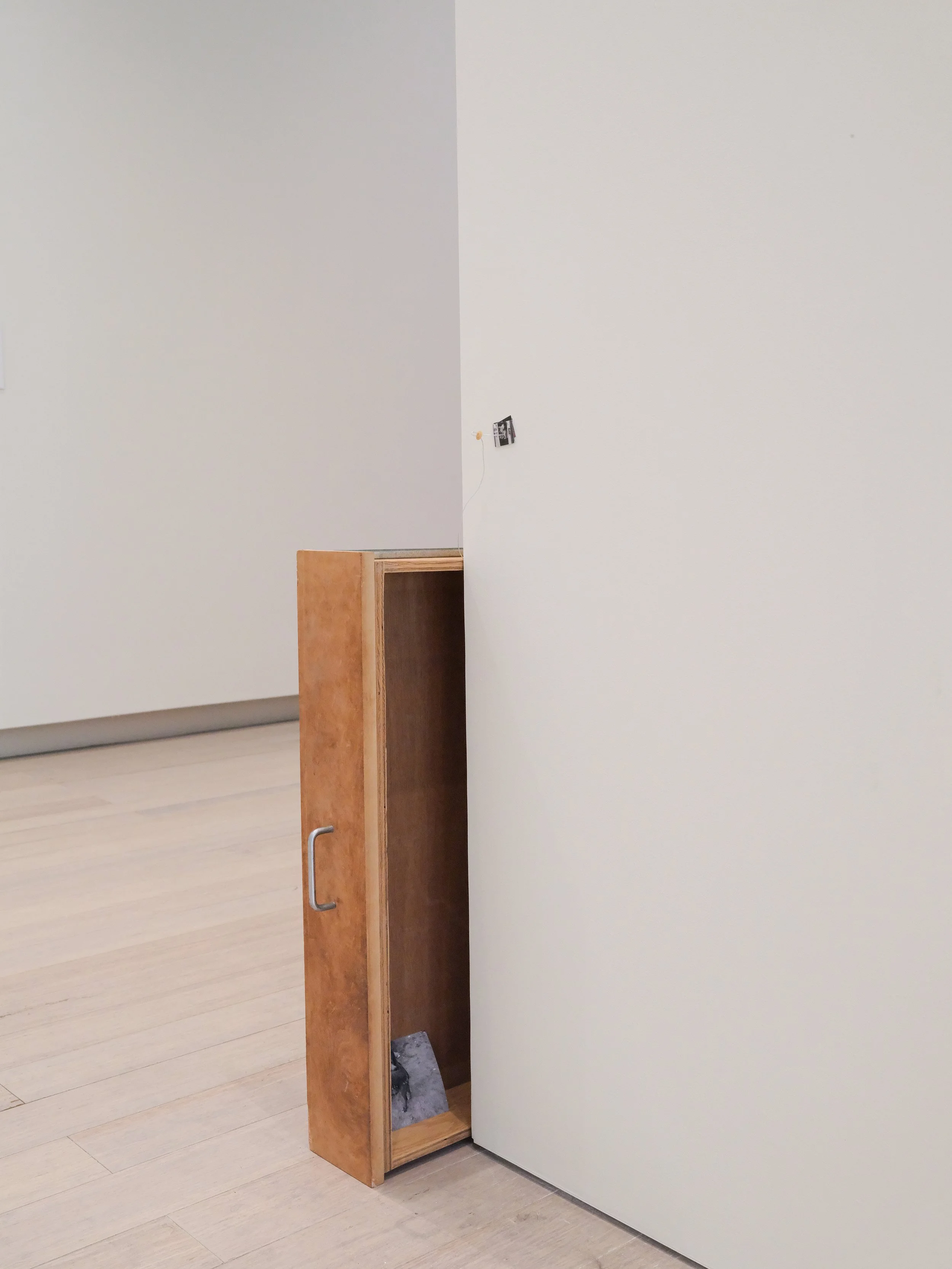 DSCF6011-ed-web.jpg