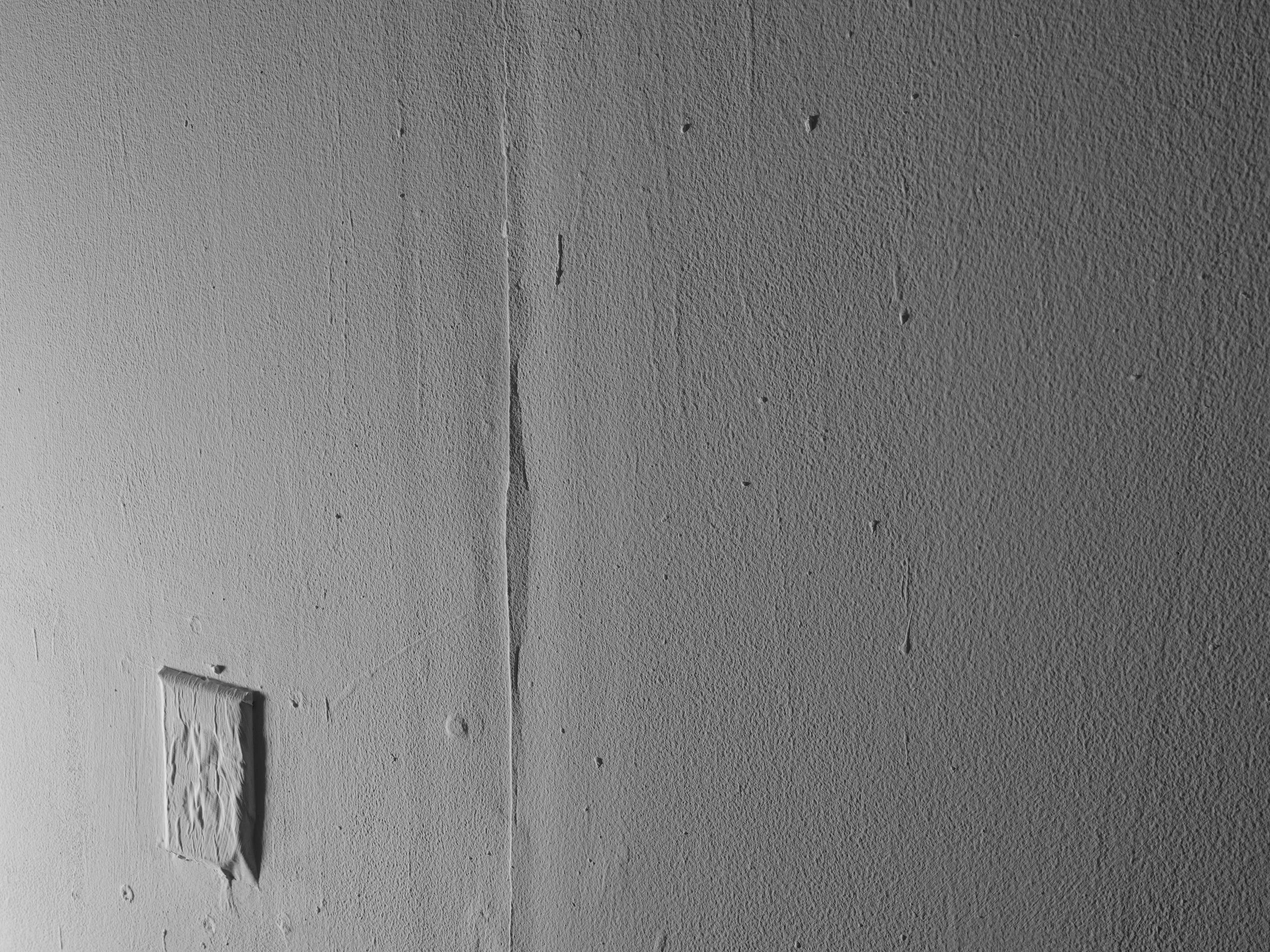 DSCF5553-web.jpg