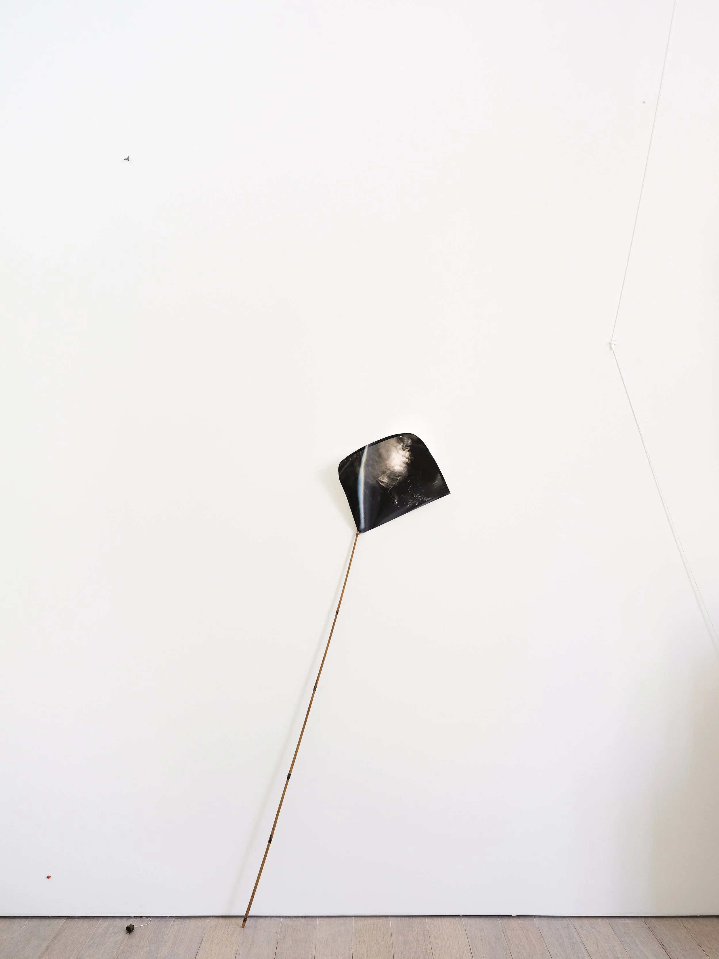 DSCF6350-ed-web.jpg