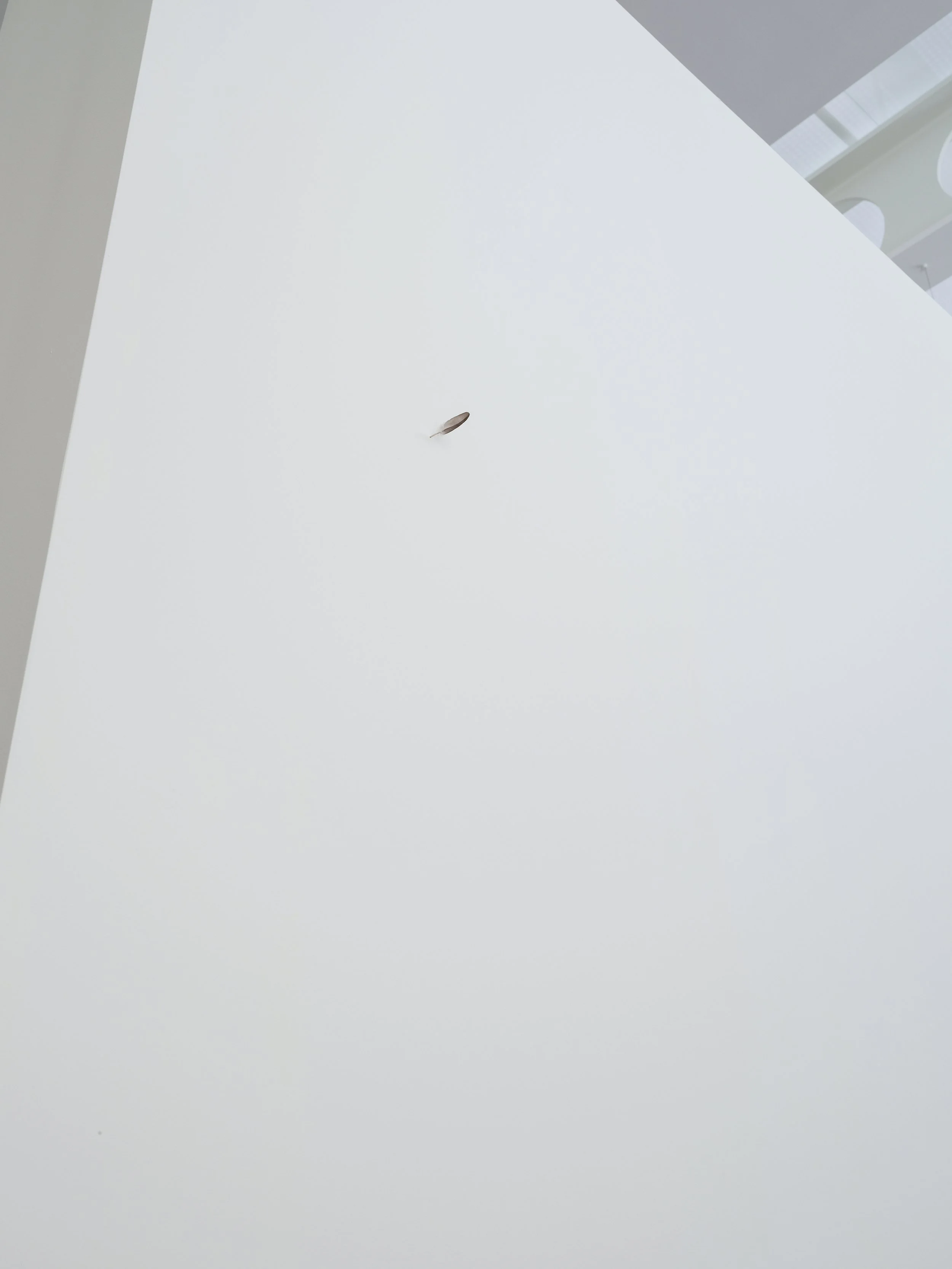 DSCF6510-ed-web.jpg