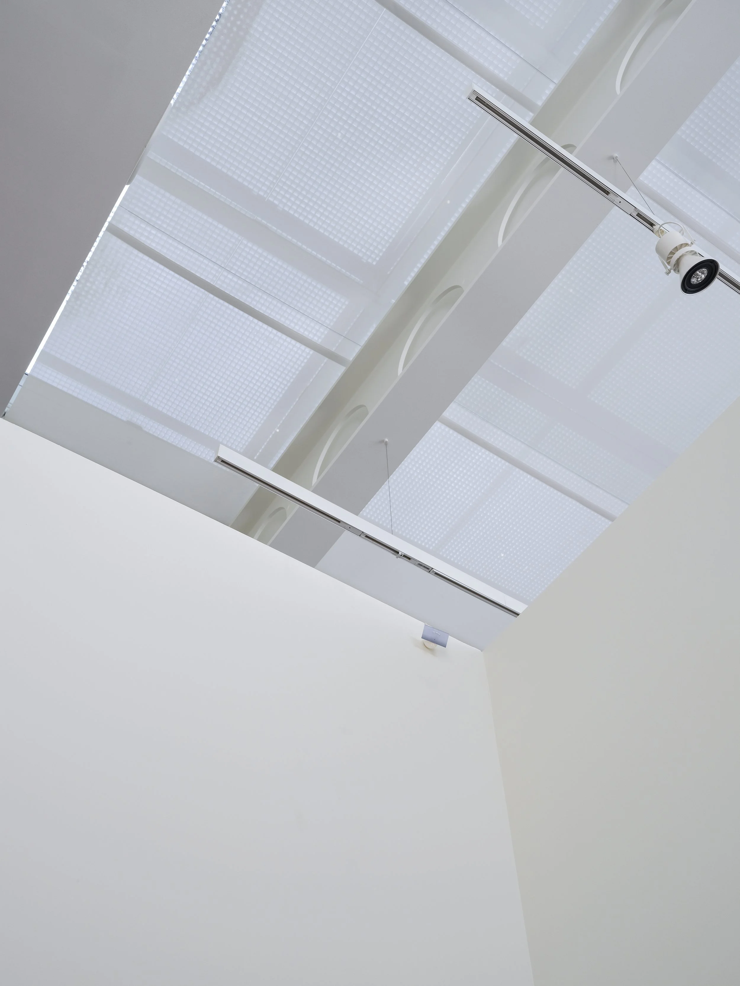 DSCF6504-ed-web.jpg