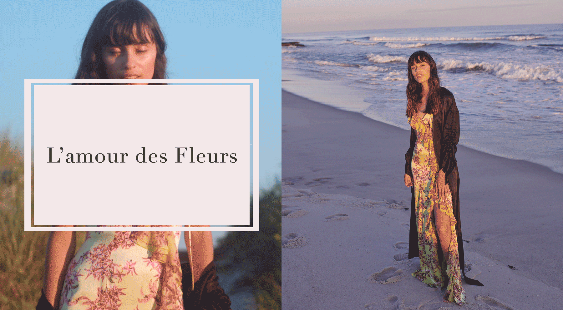 Cinq-Hero-fleurs.gif