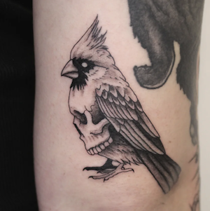 Tattoo of a cardinal sitting on a human skull. The design is in black ink with detailed shading.