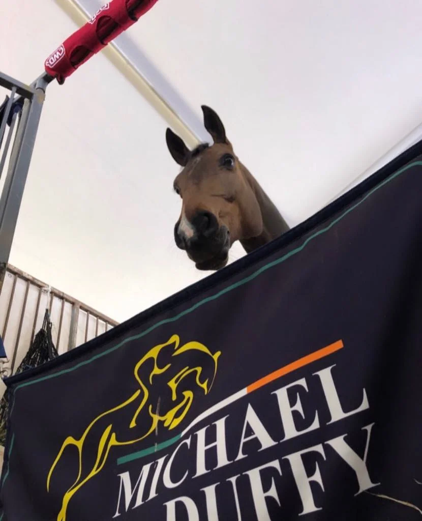 Quintano having some downtime at the stables.