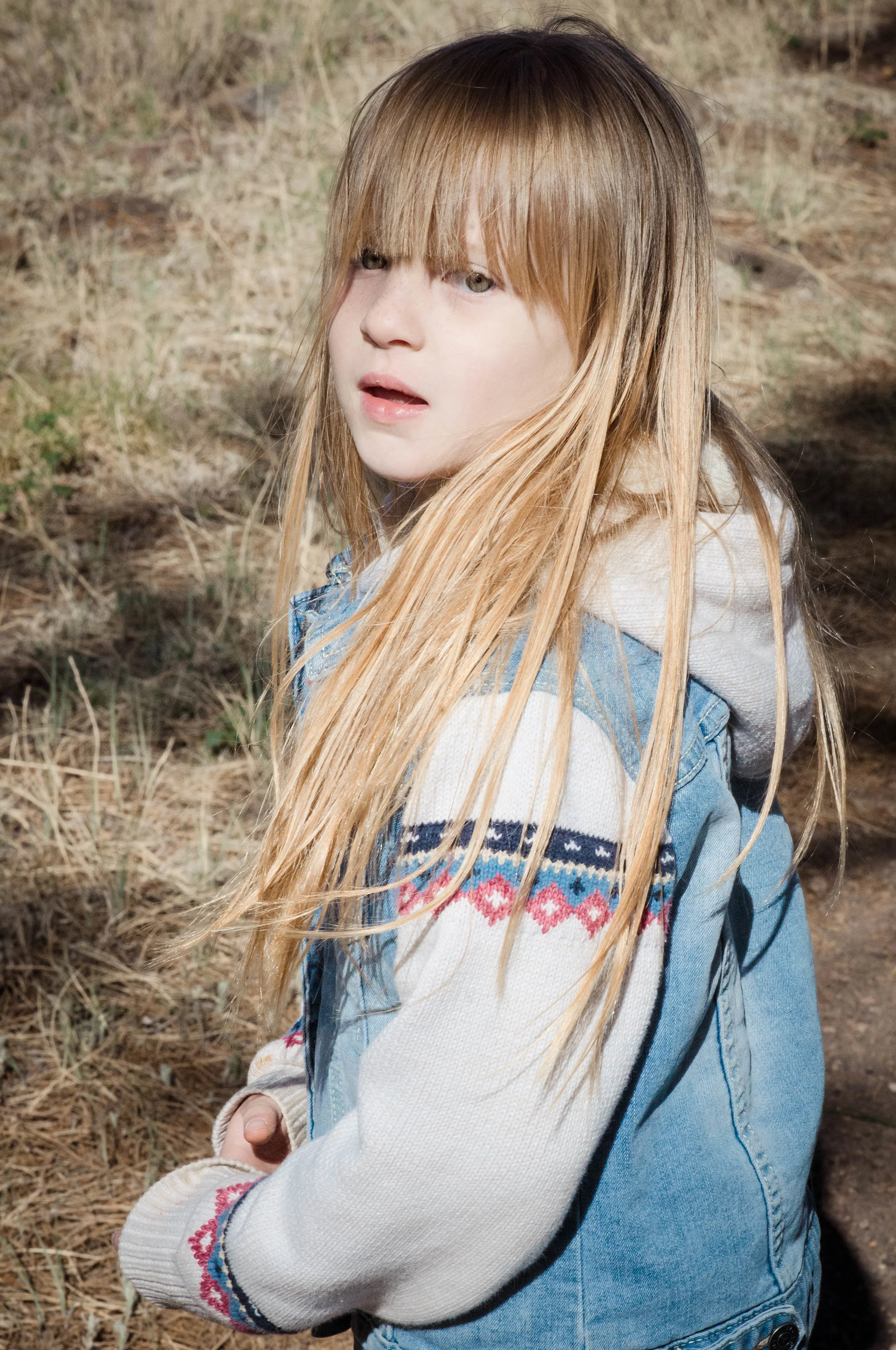 _A159210.jpg