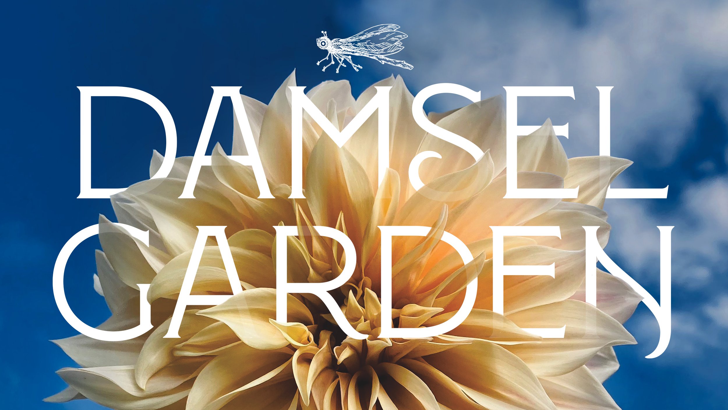 EBS_damsel_garden_homepage.jpg