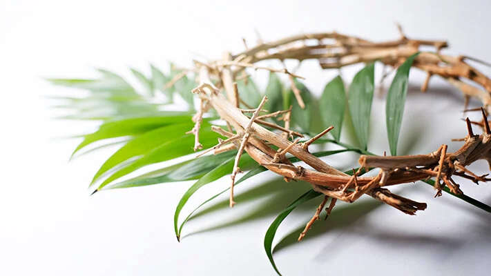 Palm Sunday: Divine Service, 8:15 a.m. &amp; 10:45 a.m.  Begins outside the church (weather permitting) for the Procession with Palms; the Passion according to St. Matthew is read