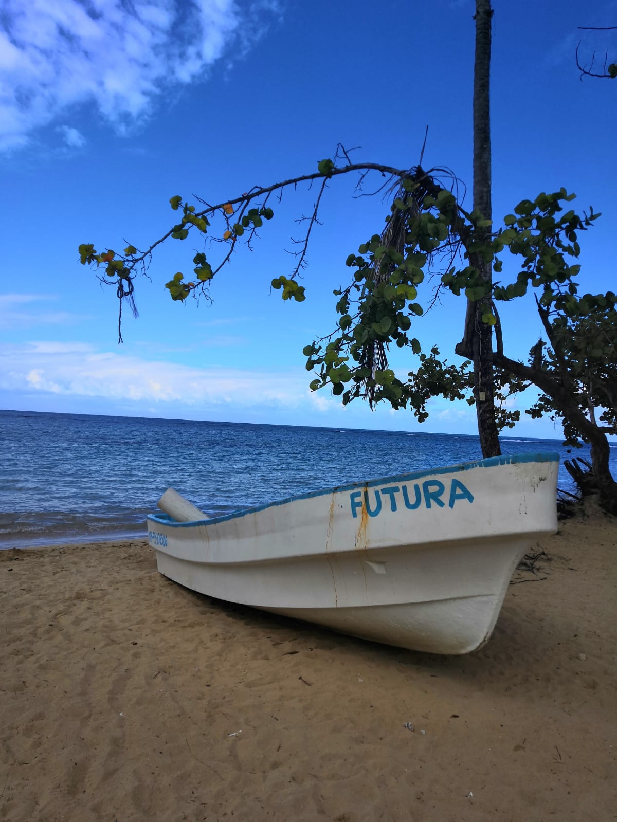Beachfront hostel in Las Terrenas-futura.jpeg