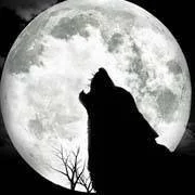 REVIEW: Featured on The Wild is Calling