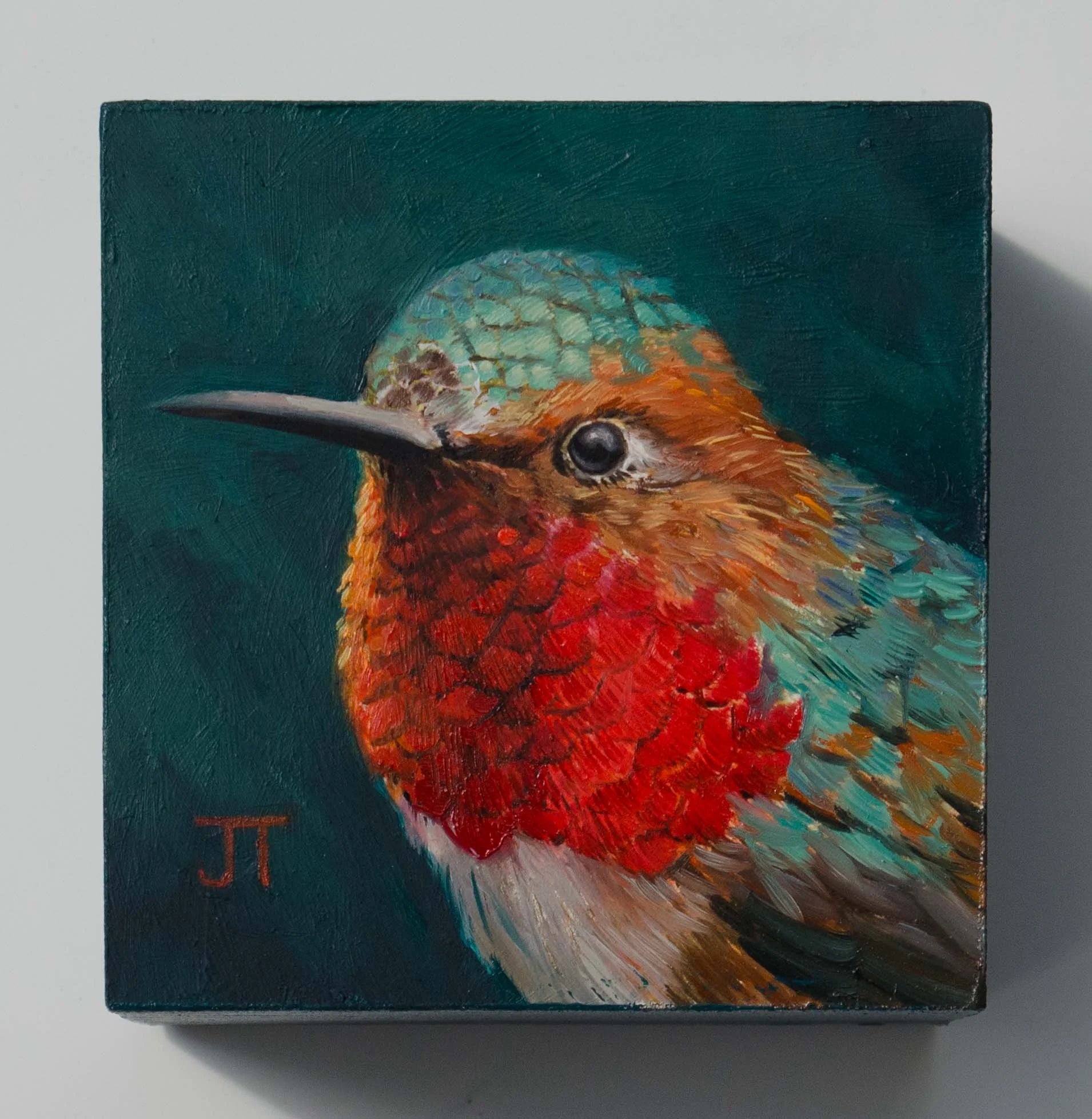 Allen's hummingbird