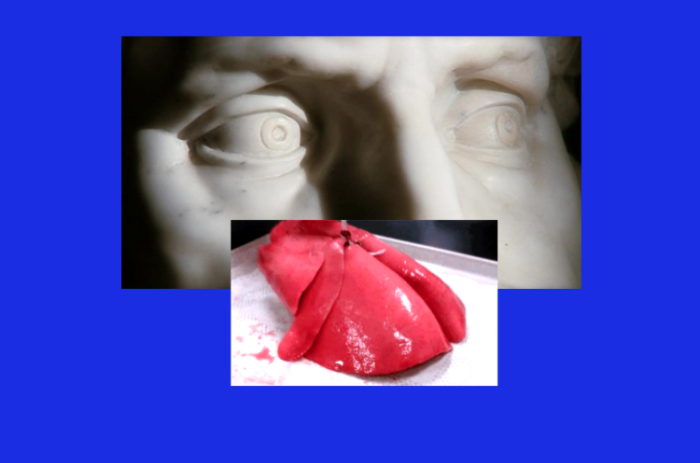 Kihlberg &amp; Henry, This Building, This Breath, 2015, Video with live voiceover, Commissioned by fig-2, supported by the Art Fund, Outset, and Arts Council England