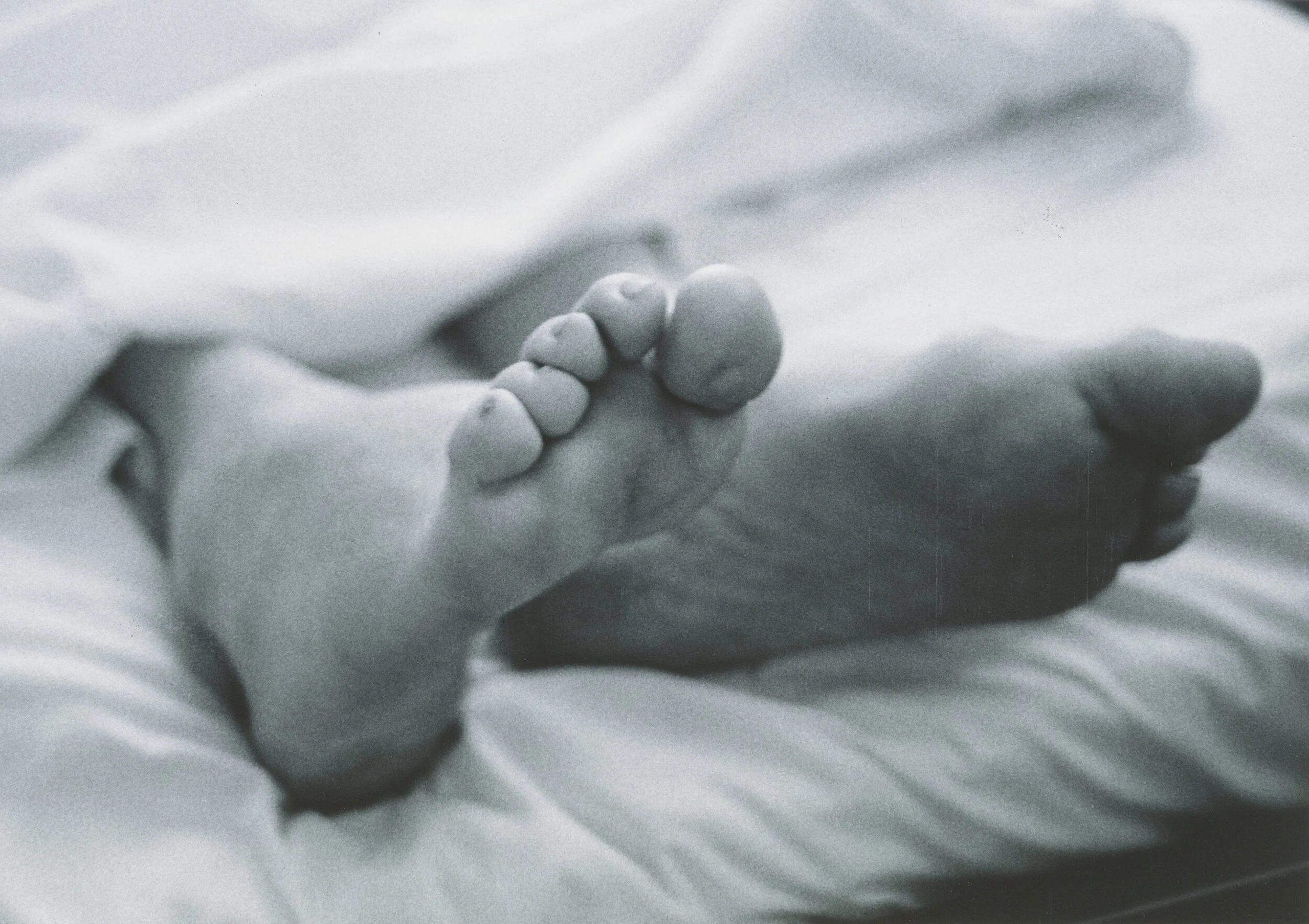 David Wojnarowicz, Untitled (Peter Hujar), 1989. Courtesy the Estate of David Wojnarowicz and P·P·O·W, New York