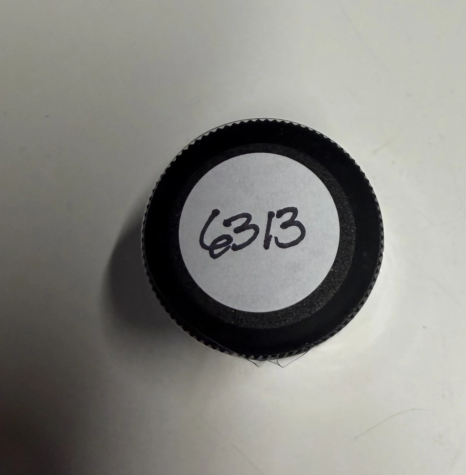 6313.jpg