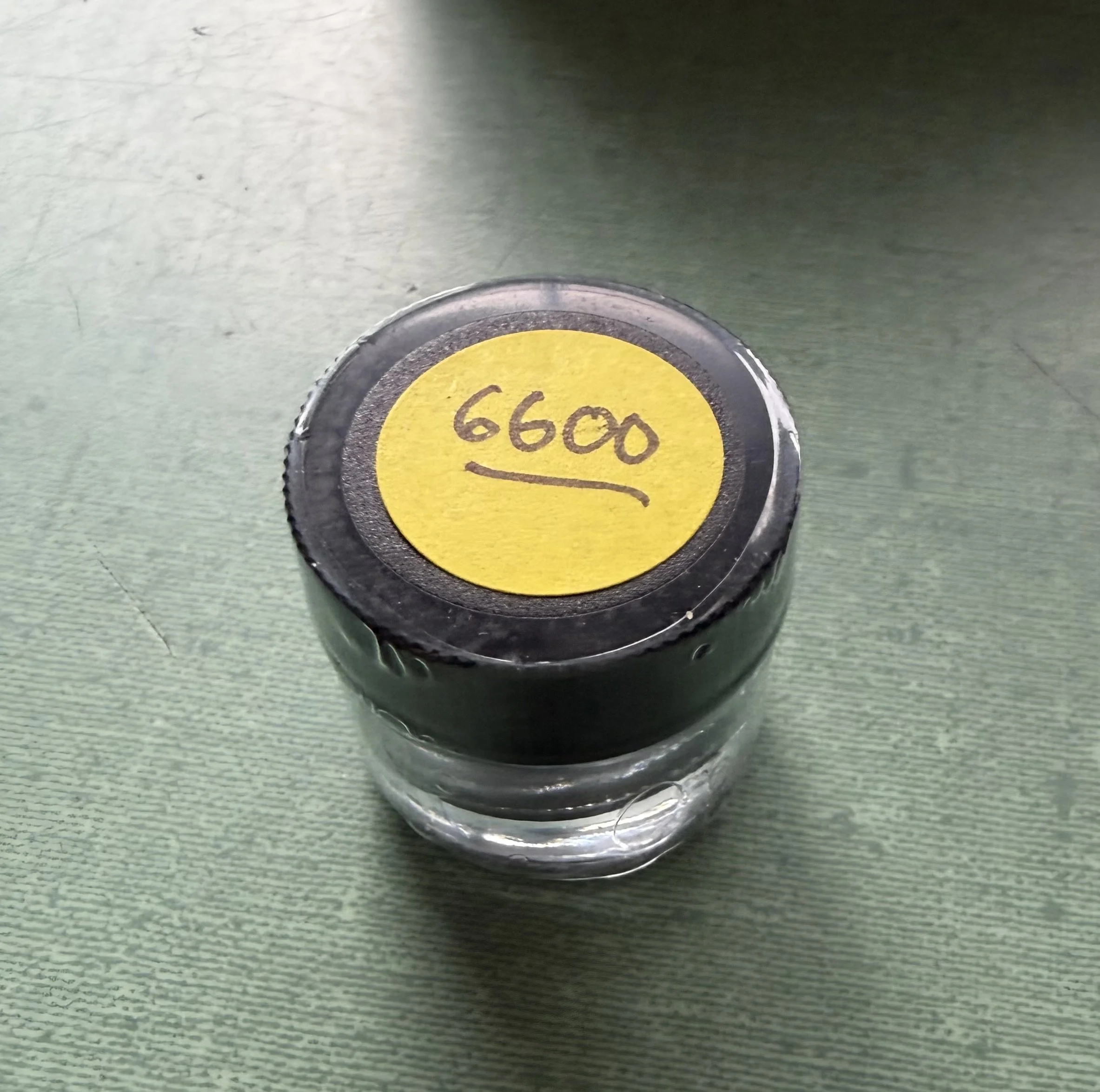 6600.jpg