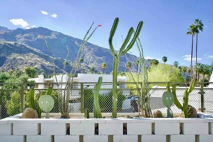 Custom Plant Music Installation  Data Garden