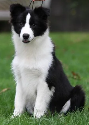 Darrin5months-299x420.jpg