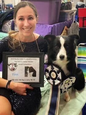 abfab border collies