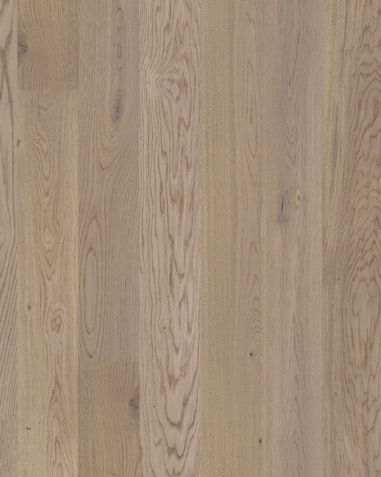 Plank, Oak Auster, Lively