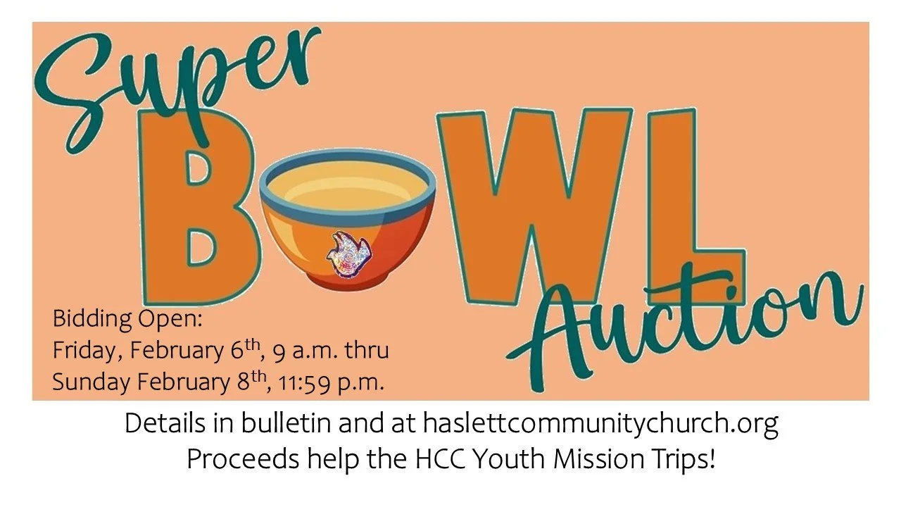 super BOWL bids 2026.jpg