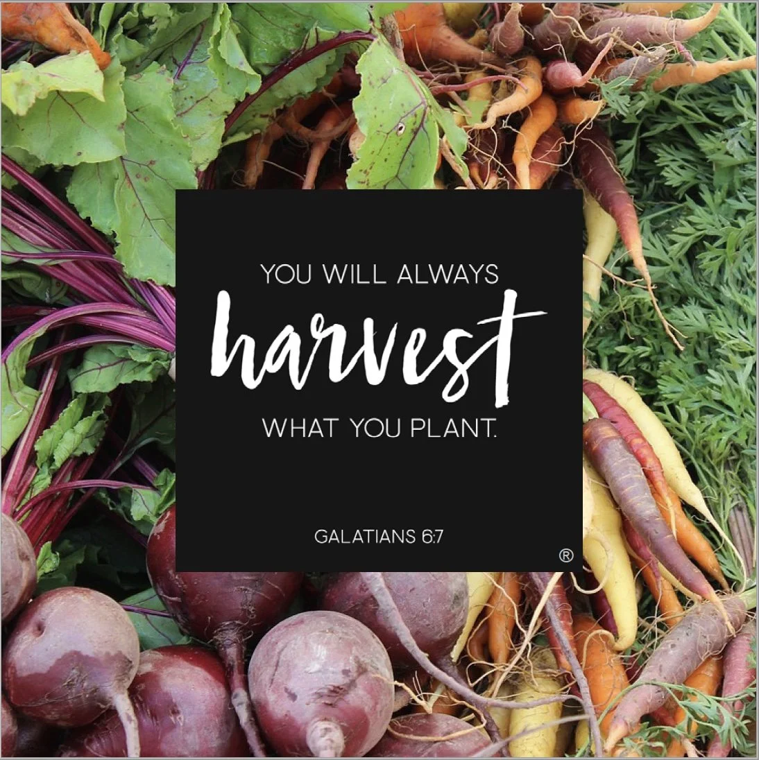 GENEROSITY SUNDAY IS NOV. 8TH!